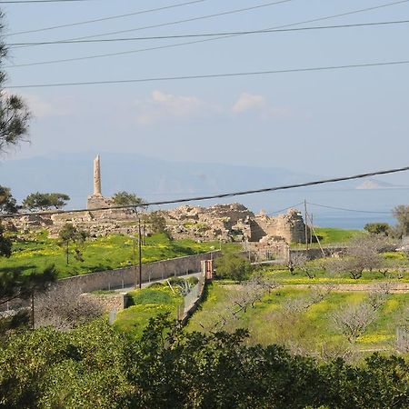 Kalokenti Studios Aegina Pokój zdjęcie